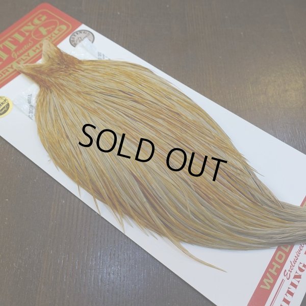 画像2: 【Whiting】ROOSTER CAPE Bronze Grade - HONEY DUN No.2 (2)