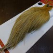 画像5: 【Whiting】ROOSTER CAPE Pro Grade - HONEY DUN No.1 (5)