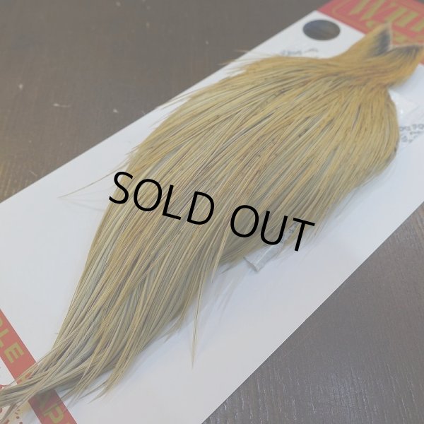 画像5: 【Whiting】ROOSTER CAPE Pro Grade - HONEY DUN No.1 (5)