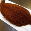 画像4: 【WHITING】ROOSTER Cape Pro Grade - NA BROWN No.1 (4)