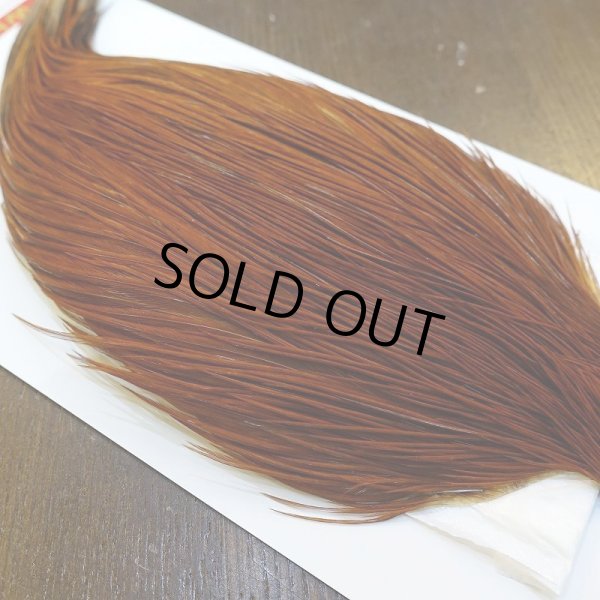 画像4: 【WHITING】ROOSTER Cape Pro Grade - NA BROWN No.1 (4)