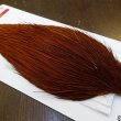 画像4: 【WHITING】ROOSTER Cape Pro Grade - NA BROWN No.2 (4)