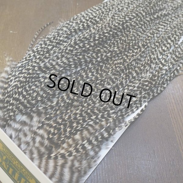 画像4: 【WHITING】Hebert Pro Grade Rooster Saddle Grizzly #12-14 No.1 (4)