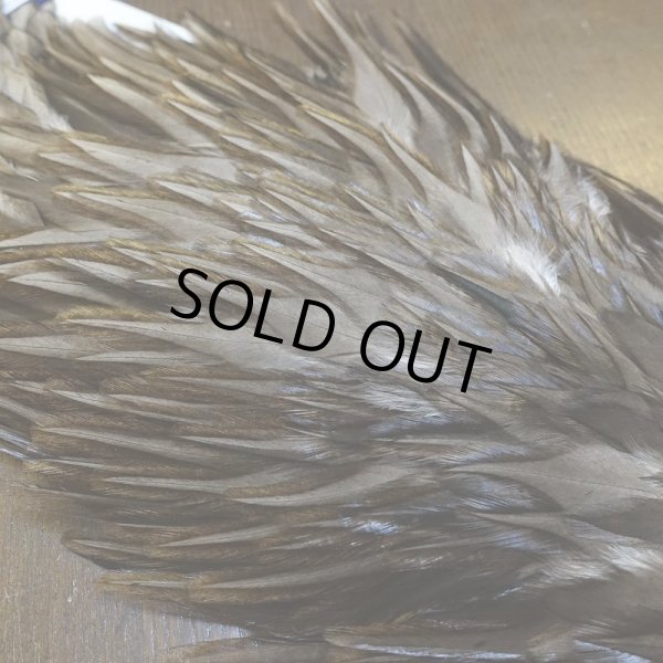 画像4: 【WHITING】AMERICAN SADDLE NA DARK DUN No.3 (4)