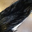 画像4: 【WHITING】ROOSTER SADDLE Bronze Grade - Black No.4 #14 (4)