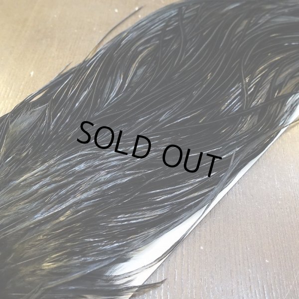 画像4: 【WHITING】ROOSTER SADDLE Bronze Grade - Black No.4 #14 (4)