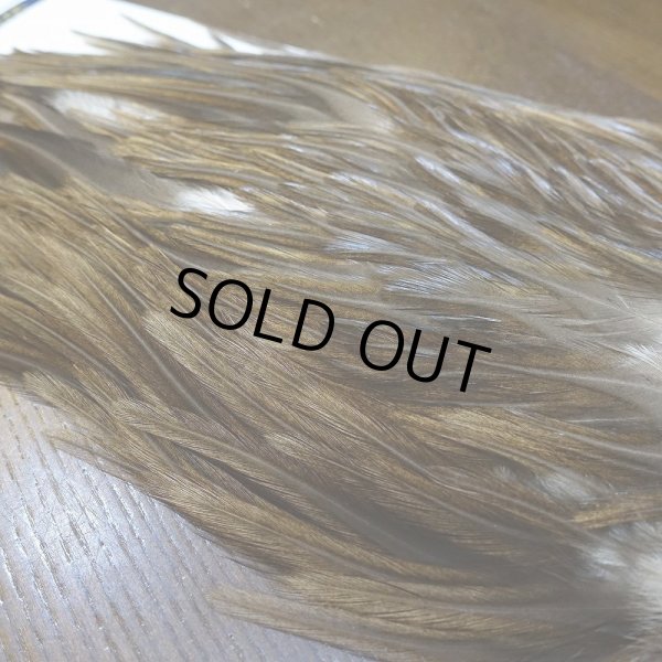 画像4: 【WHITING】AMERICAN SADDLE NA DARK DUN No.1 (4)