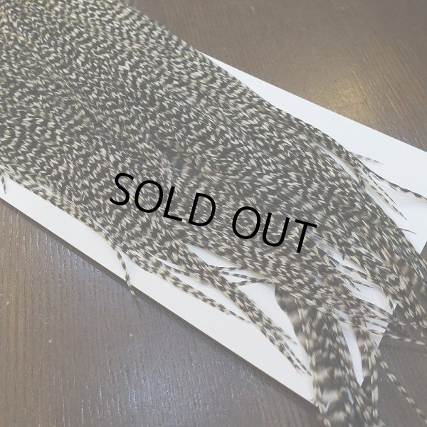 画像3: 【WHITING】Hebert Pro Grade Rooster Saddle Grizzly #12-14 No.1 (3)