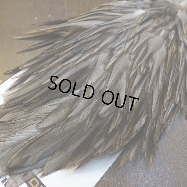 画像5: 【WHITING】AMERICAN SADDLE NA DARK DUN No.3 (5)