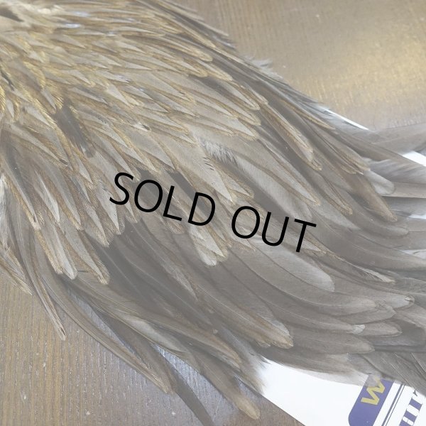 画像2: 【WHITING】AMERICAN SADDLE NA DARK DUN No.2 (2)