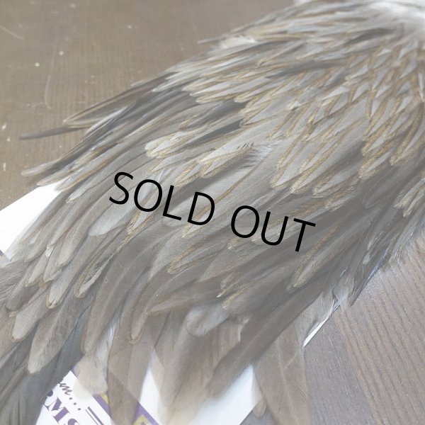 画像5: 【WHITING】AMERICAN SADDLE NA DARK DUN No.2 (5)