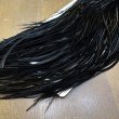 画像6: 【WHITING】ROOSTER SADDLE Bronze Grade - Black No.4 #14 (6)