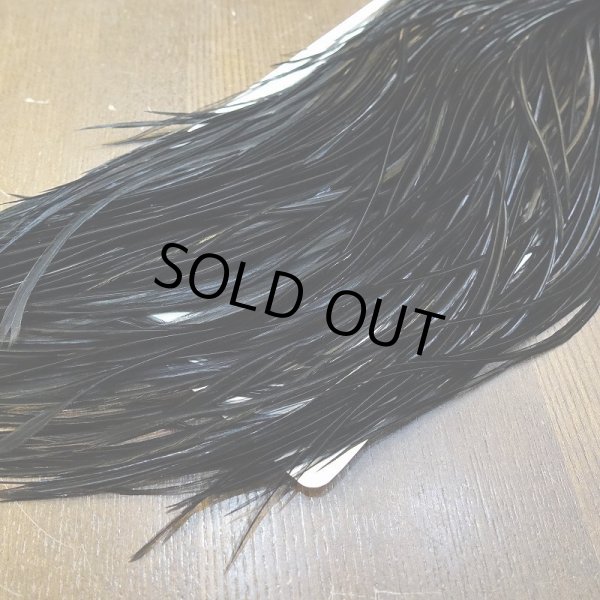 画像6: 【WHITING】ROOSTER SADDLE Bronze Grade - Black No.4 #14 (6)