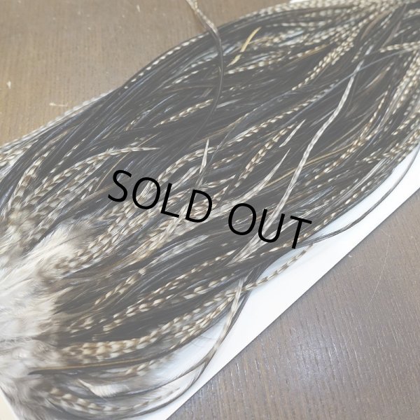 画像4: 【WHITING】Hebert Pro Grade Saddle Dun Grizzly #16 (4)