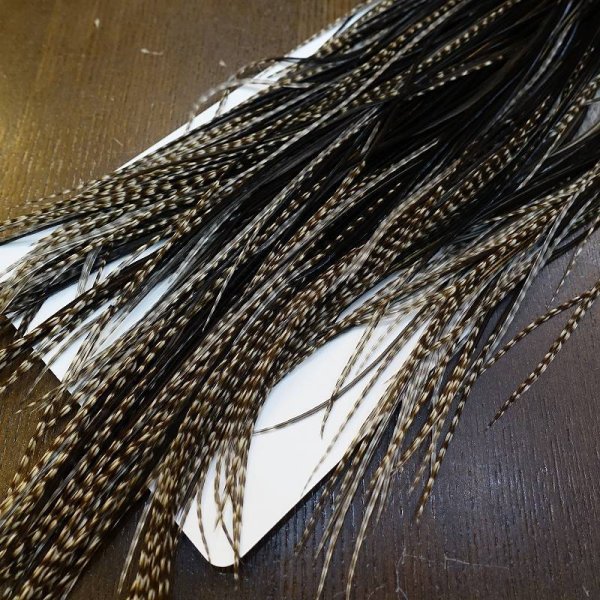 画像6: 【WHITING】Hebert Pro Grade Saddle Dun Grizzly No.2 #14 (6)