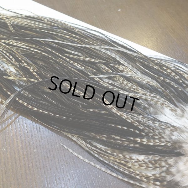 画像5: 【WHITING】Hebert Pro Grade Saddle Dun Grizzly #16 (5)