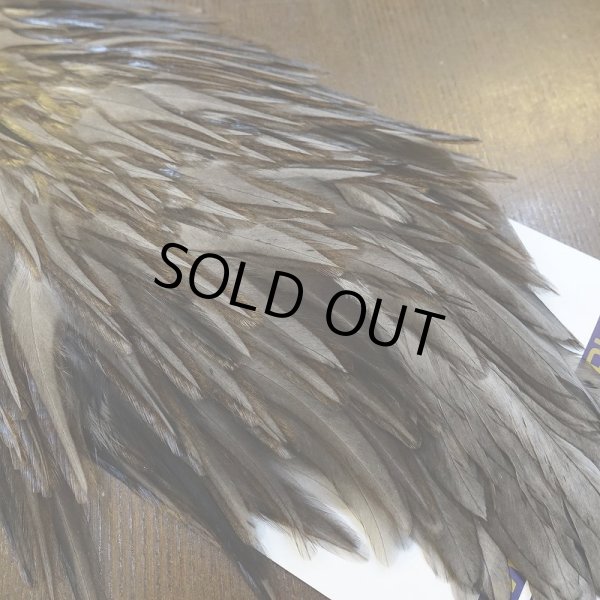 画像2: 【WHITING】AMERICAN SADDLE NA DARK DUN No.3 (2)