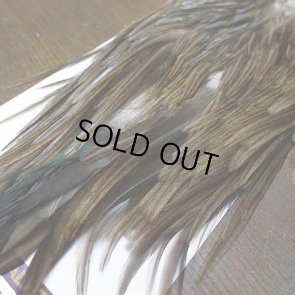 画像5: 【WHITING】AMERICAN SADDLE NA DARK DUN No.1 (5)