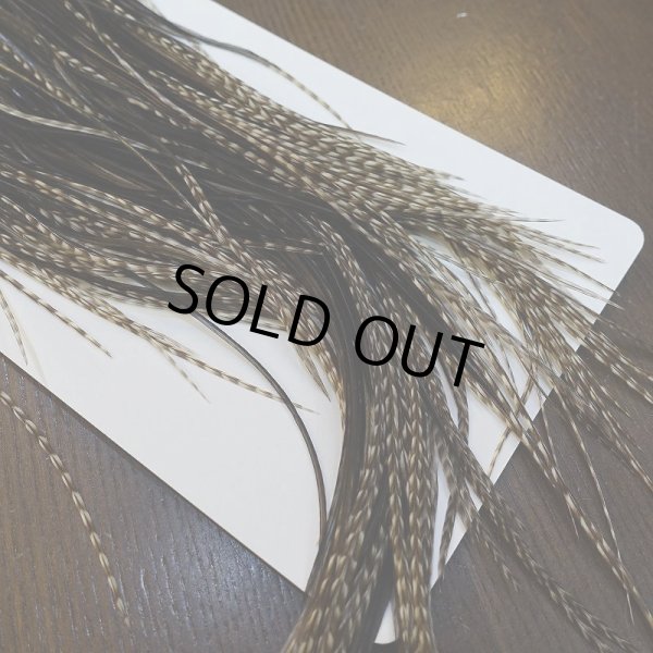 画像3: 【WHITING】Hebert Pro Grade Saddle Dun Grizzly #16 (3)