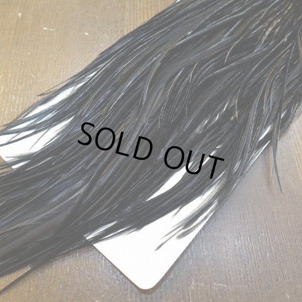 画像6: 【WHITING】ROOSTER SADDLE Bronze Grade - Black No.1 #12-14 (6)