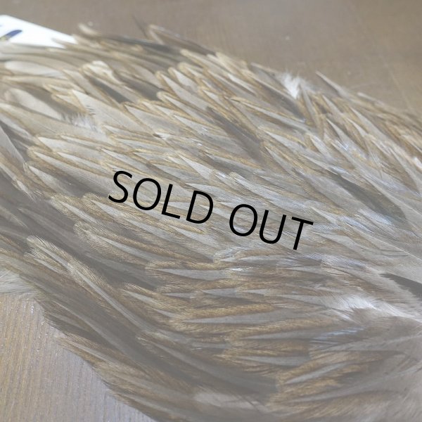 画像4: 【WHITING】AMERICAN SADDLE NA DARK DUN No.2 (4)