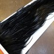 画像4: 【WHITING】ROOSTER SADDLE Bronze Grade - Black No.3 #16 (4)