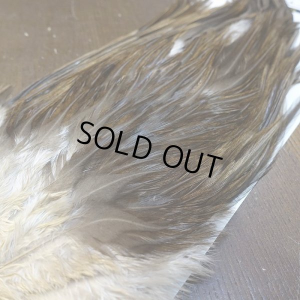 画像3: 【WHITING】AMERICAN SADDLE NA DARK DUN No.1 (3)