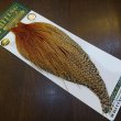 画像2: 【WHITING】Hebert ROOSTER CAPE Silver grade - Barred Medium Ginger (2)