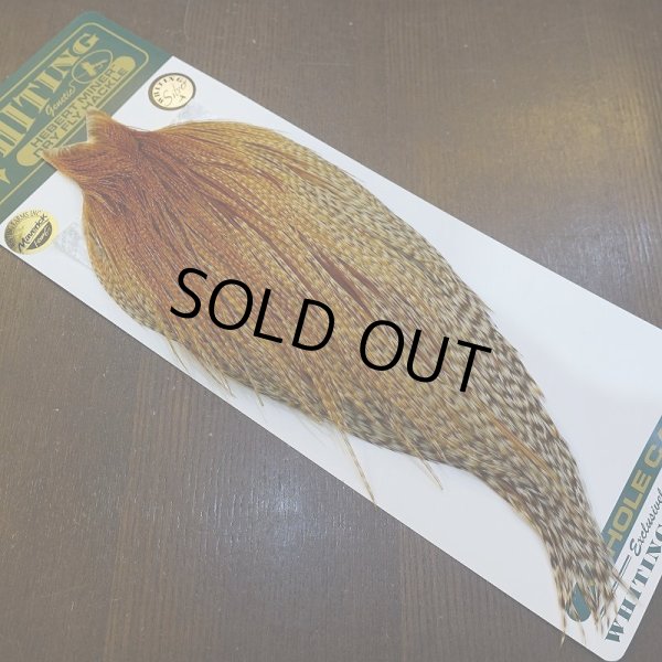 画像2: 【WHITING】Hebert ROOSTER CAPE Silver grade - Barred Medium Ginger (2)