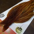 画像3: 【Whiting】ROOSTER CAPE Silver Grade - BARRED DK GINGER (3)