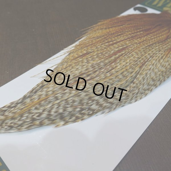 画像6: 【WHITING】Hebert ROOSTER CAPE Silver grade - Barred Medium Ginger (6)