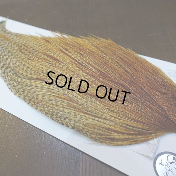 画像5: 【WHITING】Hebert ROOSTER CAPE Silver grade - Barred Medium Ginger (5)