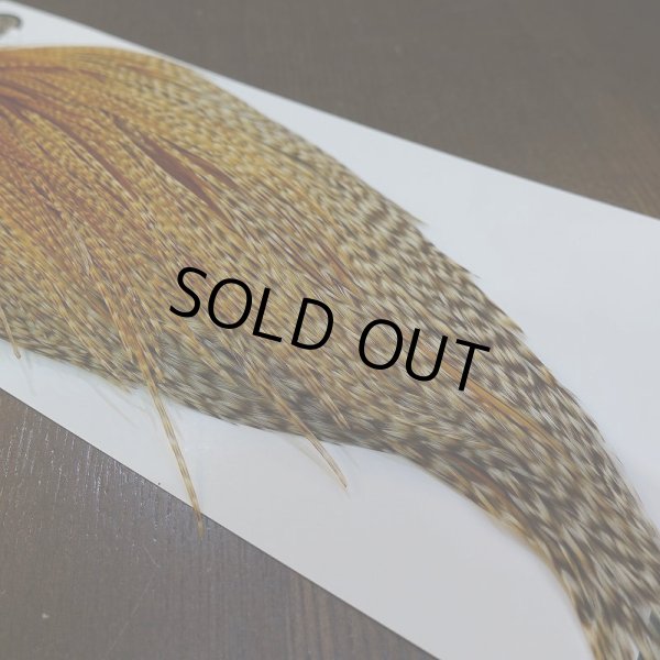 画像3: 【WHITING】Hebert ROOSTER CAPE Silver grade - Barred Medium Ginger (3)