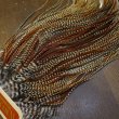 画像5: 【WHITING】ROOSTER SADDLE Silver Grade - Cree (5)