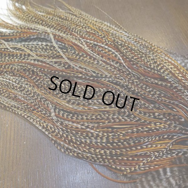 画像6: 【WHITING】ROOSTER SADDLE Bronze Grade - Cree #18-20 (6)