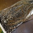 画像4: 【WHITING】Hebert Pro Grade Rooster Saddle - Cree #16 (4)