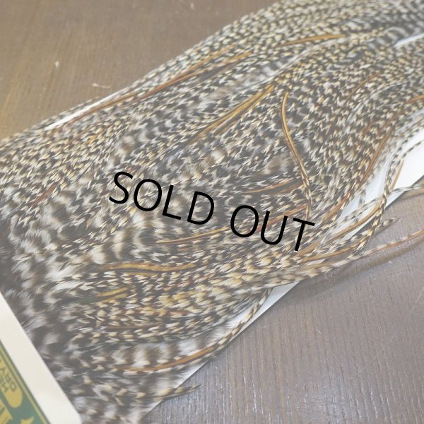 画像4: 【WHITING】Hebert Pro Grade Rooster Saddle - Cree #16 (4)