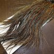 画像7: 【WHITING】ROOSTER SADDLE Bronze Grade - Cree #18-20 (7)