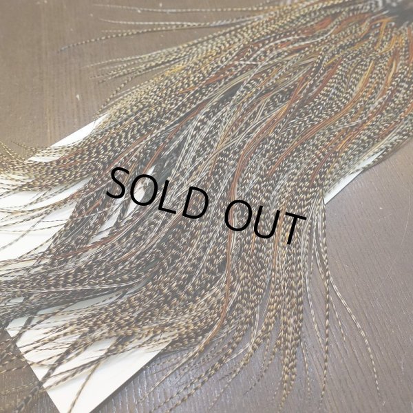 画像7: 【WHITING】ROOSTER SADDLE Bronze Grade - Cree #18-20 (7)