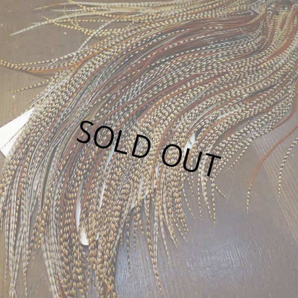 画像7: 【WHITING】ROOSTER SADDLE Silver Grade - Cree (7)