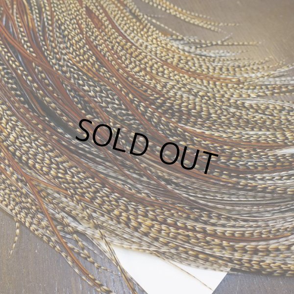 画像3: 【WHITING】ROOSTER SADDLE Silver Grade - Cree (3)