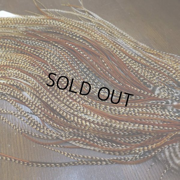 画像6: 【WHITING】ROOSTER SADDLE Silver Grade - Cree (6)