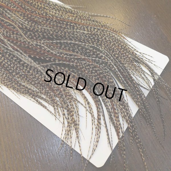 画像3: 【WHITING】ROOSTER SADDLE Bronze Grade - Cree #18-20 (3)