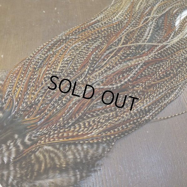 画像5: 【WHITING】ROOSTER SADDLE Bronze Grade - Cree #18-20 (5)