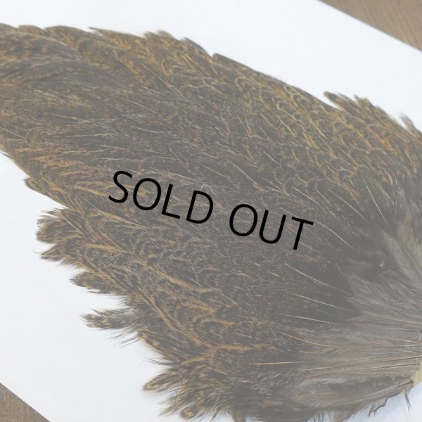 画像3: 【ANGLE】ラージ ソフトハックル ヘンサドル - BrownSpeckled (3)