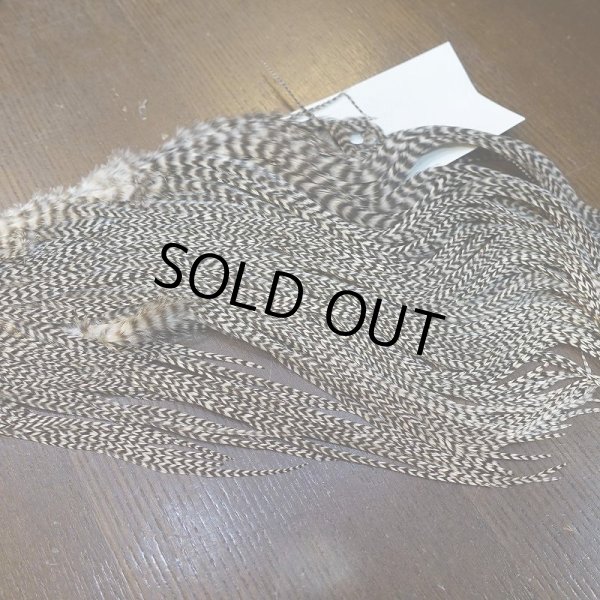 画像3: 【HARELINE】Half Grizzly Saddle (3)