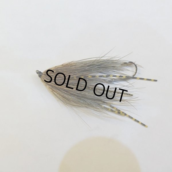 画像3: 【Aqua Flies】Mattioli's Trout Spey Intruder (3)
