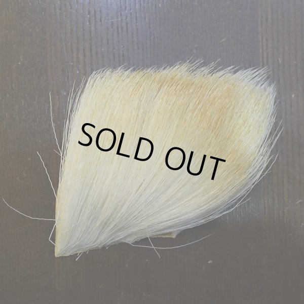 画像2: 【CANAL】アンテロープ (2)