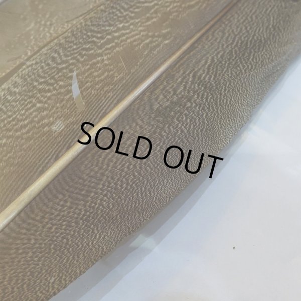 画像3: 【CANAL】Kori Bustard XL(スペックルドバスタード) No.1 (3)