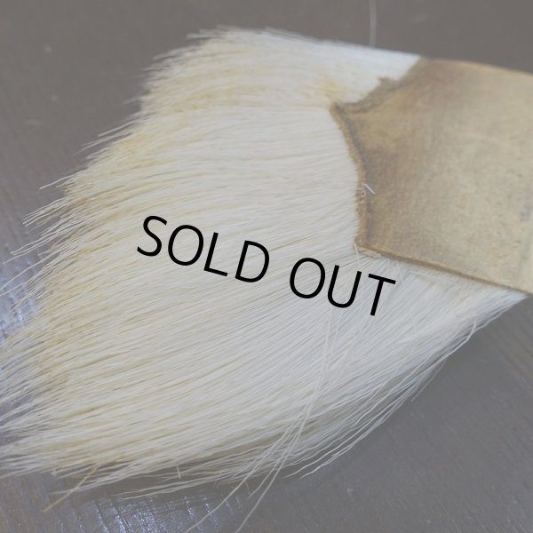 画像3: 【CANAL】アンテロープ (3)